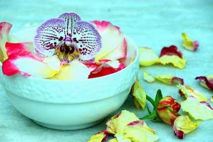 orchid-2390009_1280