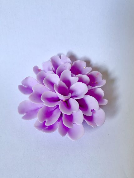 dalia 2