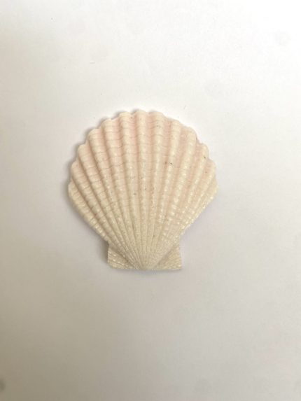 E7590E92-AAED-4723-B914-3805DD517260