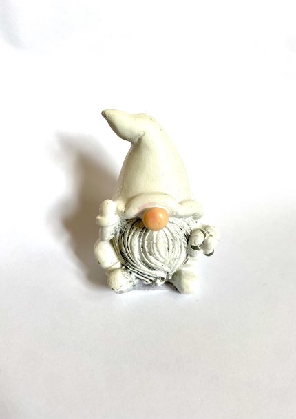 IMG-1650