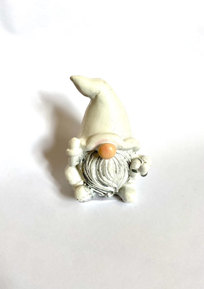 IMG-1650