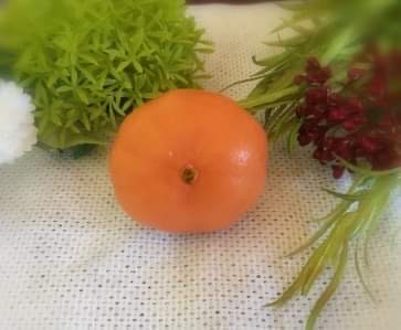 IMG-6346